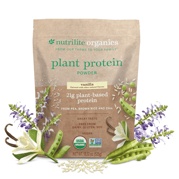 All Plant Protein Powder