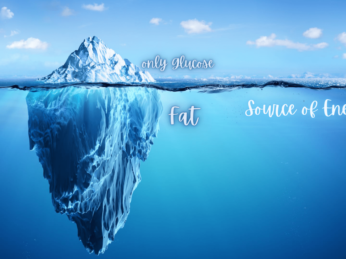 The Untapped ⚡️ Energy state(Nutritional ketosis)